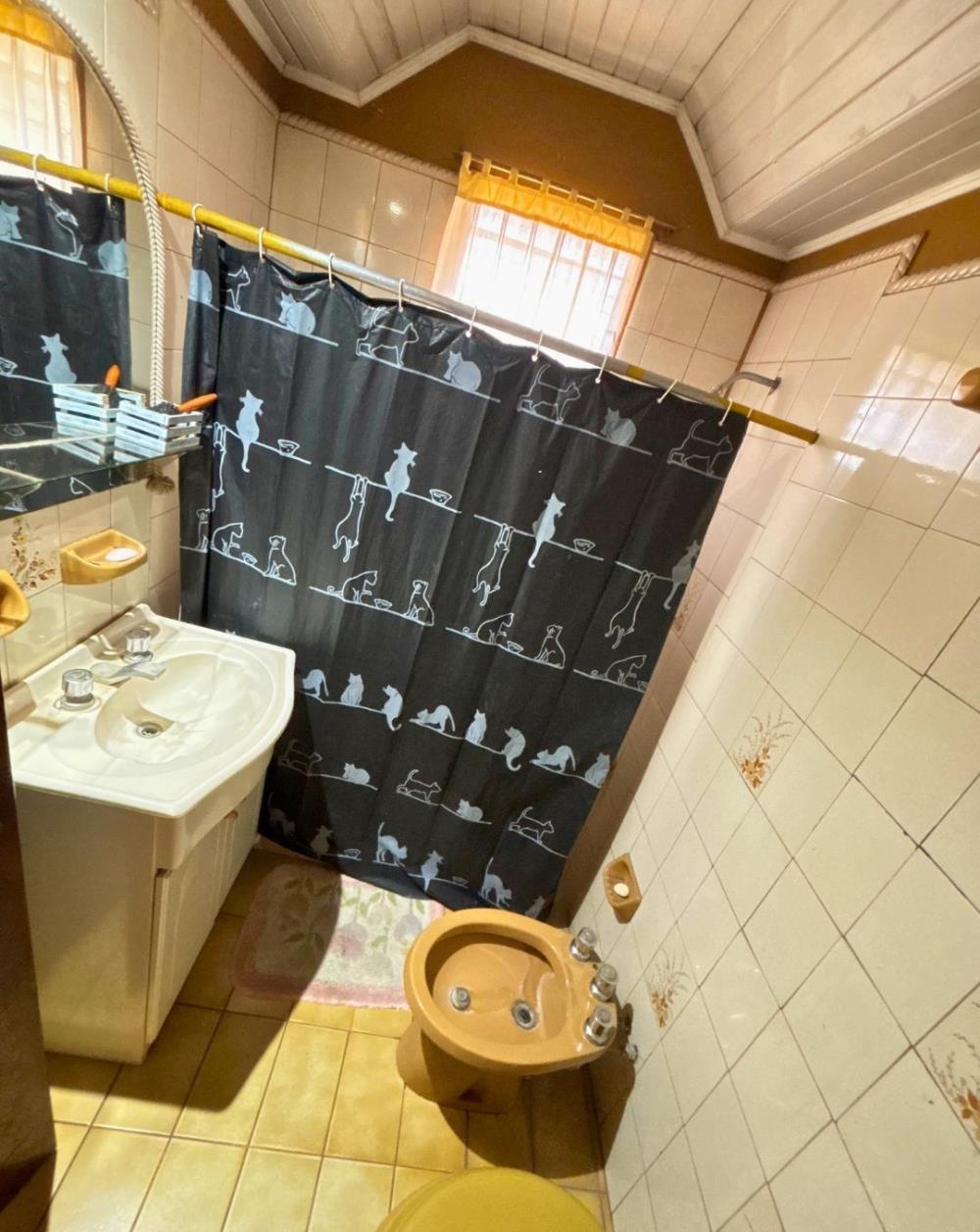 Propiedad multirenta (Casa, galpón, 2 deptos) - Img: 4