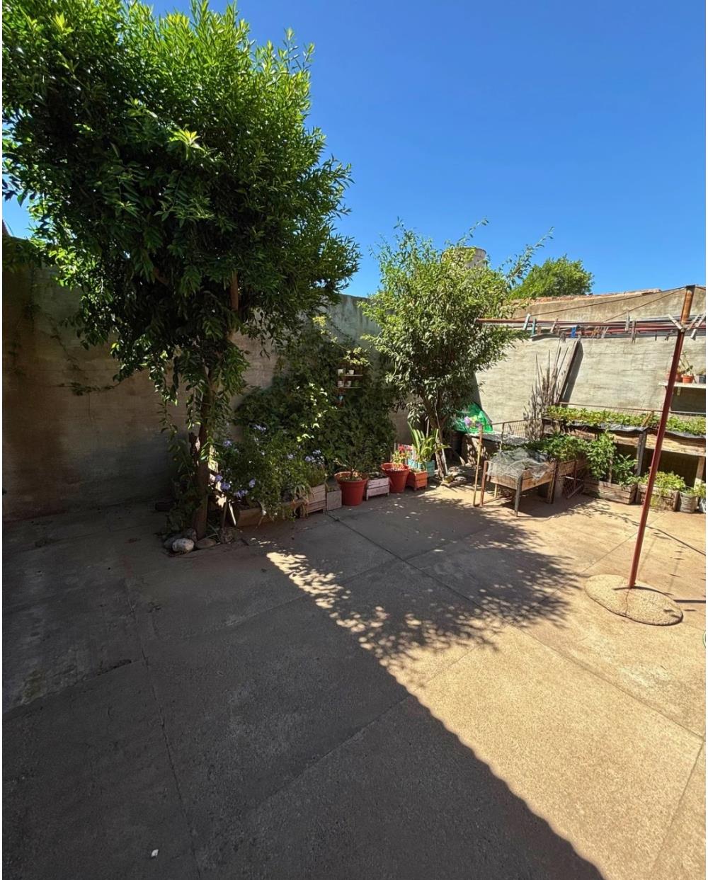 Propiedad multirenta (Casa, galpón, 2 deptos) - Img: 9