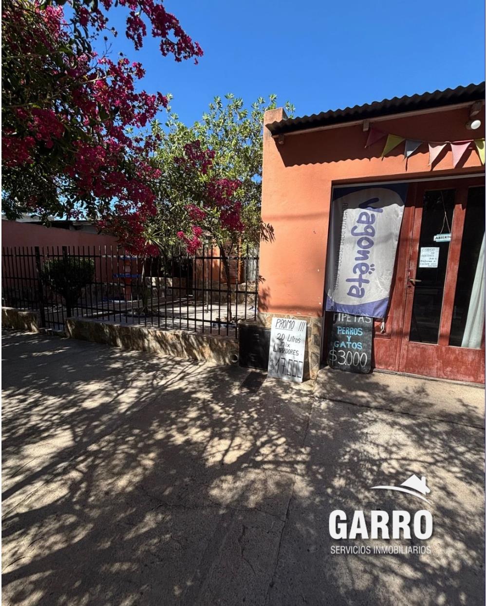 Propiedad multirenta (Casa, galpón, 2 deptos) - Img: 18